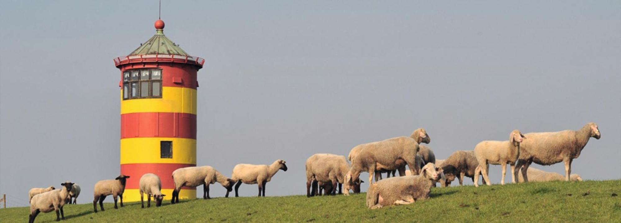 Vogelnest Daire Hage Dış mekan fotoğraf